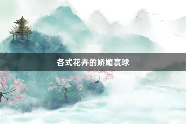 各式花卉的娇媚寰球