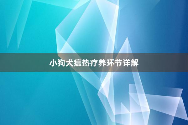 小狗犬瘟热疗养环节详解