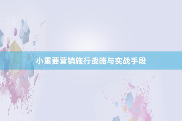小重要营销施行战略与实战手段
